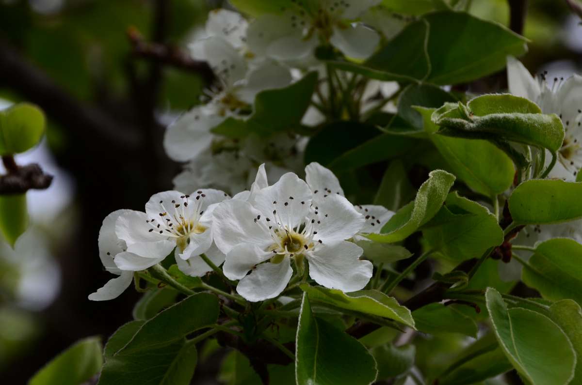 2014-04-05 12-30-02.JPG